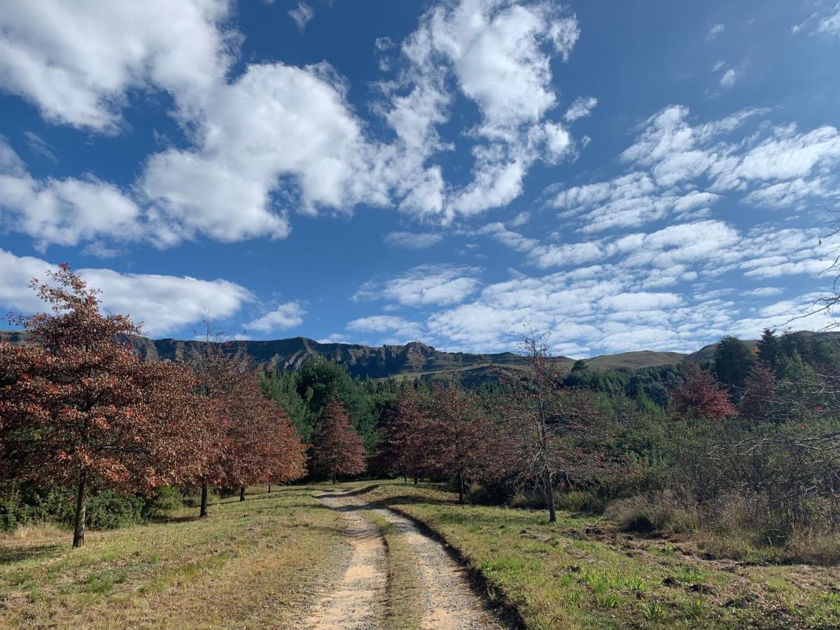 Brackenburn Trout And Trail Retreat Apartment Elandskop Luaran gambar
